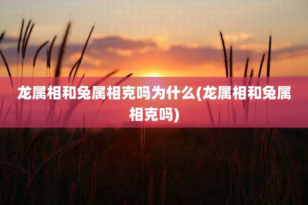 龙属相和兔属相克吗为什么(龙属相和兔属相克吗)