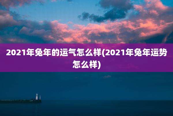 2021年兔年的运气怎么样(2021年兔年运势怎么样)