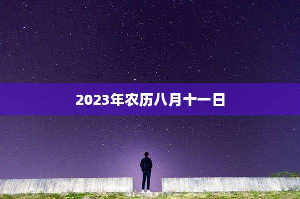 2023年农历八月十一日