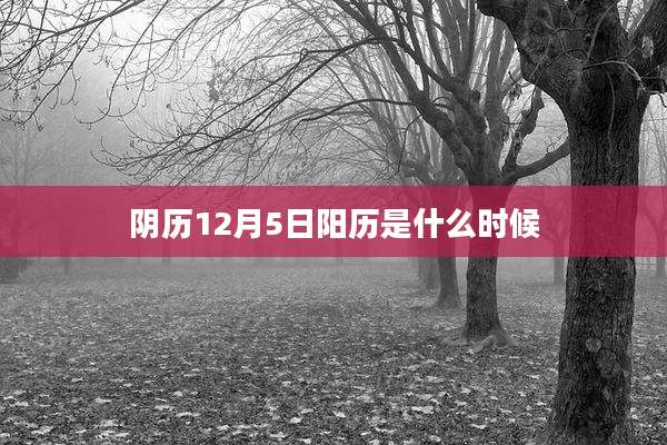 阴历12月5日阳历是什么时候