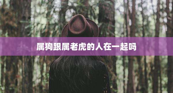 属狗跟属老虎的人在一起吗