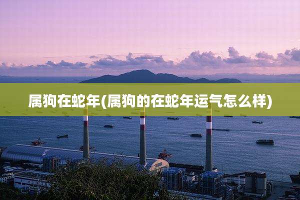 属狗在蛇年(属狗的在蛇年运气怎么样)