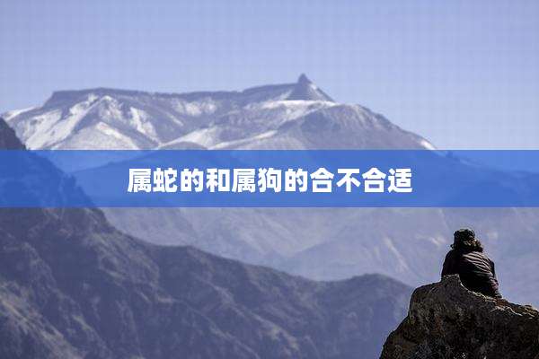 属蛇的和属狗的合不合适