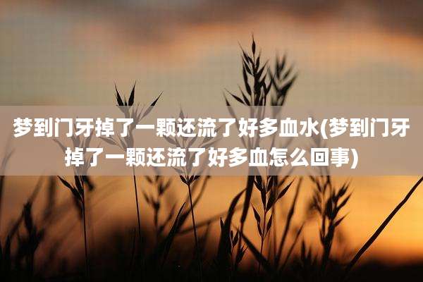 梦到门牙掉了一颗还流了好多血水(梦到门牙掉了一颗还流了好多血怎么回事)