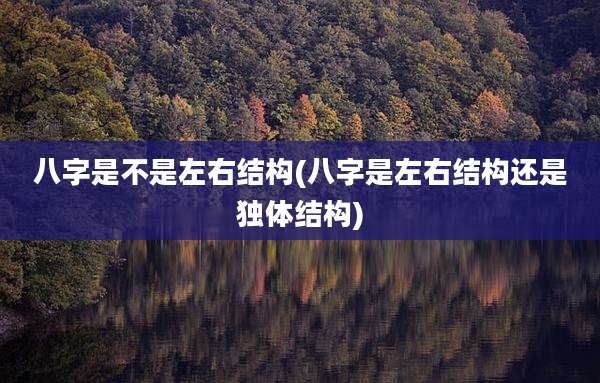 八字是不是左右结构(八字是左右结构还是独体结构)