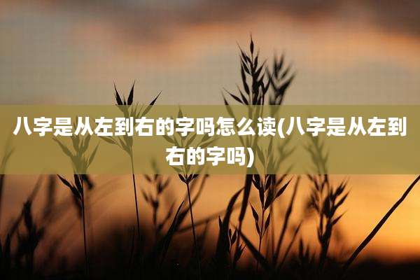 八字是从左到右的字吗怎么读(八字是从左到右的字吗)
