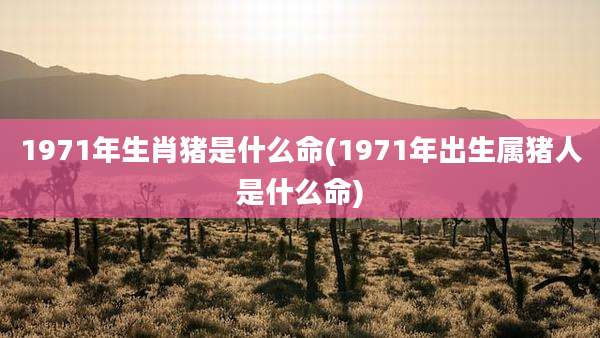 1971年生肖猪是什么命(1971年出生属猪人是什么命)