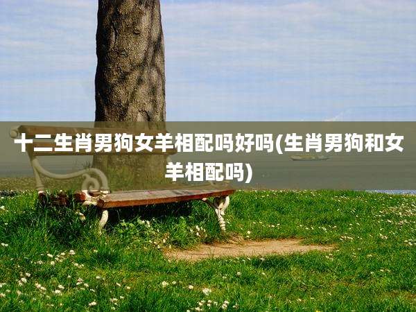 十二生肖男狗女羊相配吗好吗(生肖男狗和女羊相配吗)