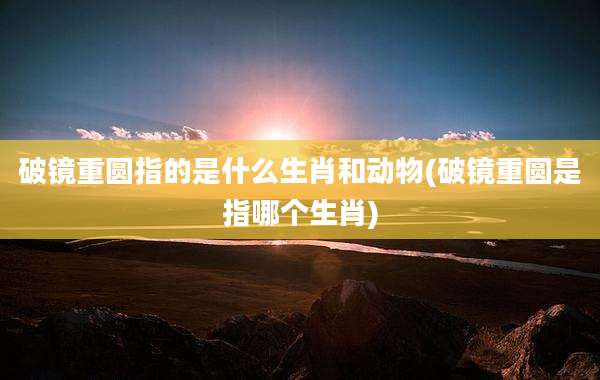 破镜重圆指的是什么生肖和动物(破镜重圆是指哪个生肖)