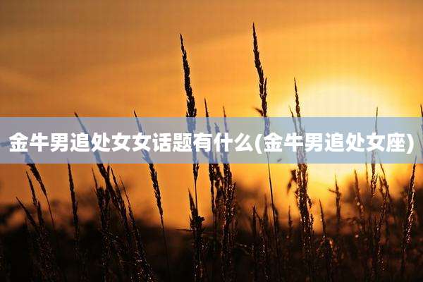 金牛男追处女女话题有什么(金牛男追处女座)