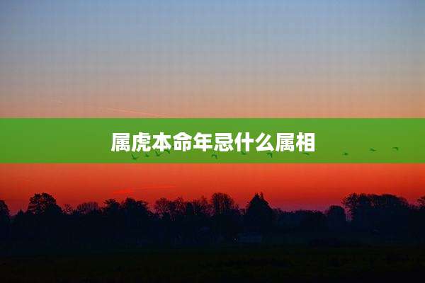 属虎本命年忌什么属相