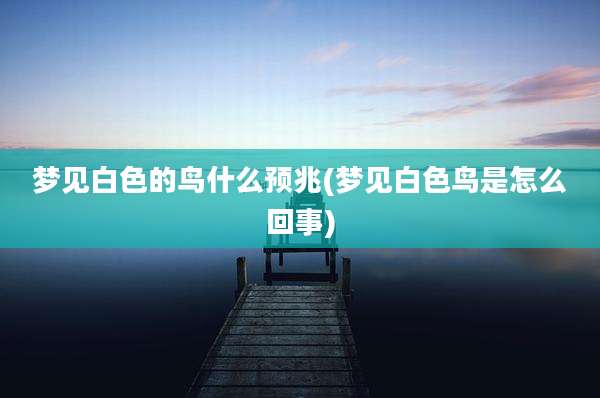 梦见白色的鸟什么预兆(梦见白色鸟是怎么回事)