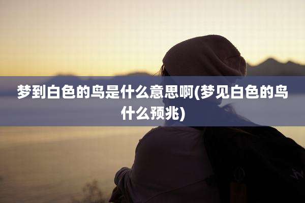 梦到白色的鸟是什么意思啊(梦见白色的鸟什么预兆)