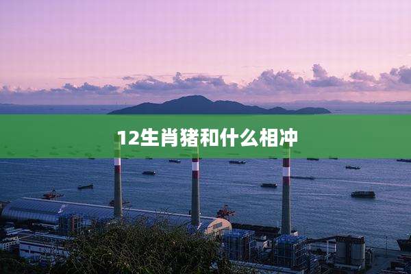 12生肖猪和什么相冲