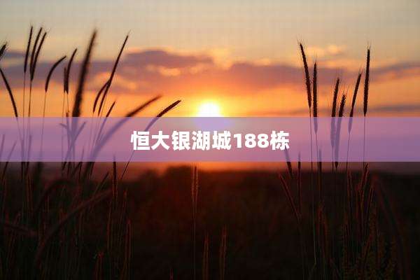 恒大银湖城188栋