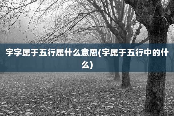 宇字属于五行属什么意思(宇属于五行中的什么)