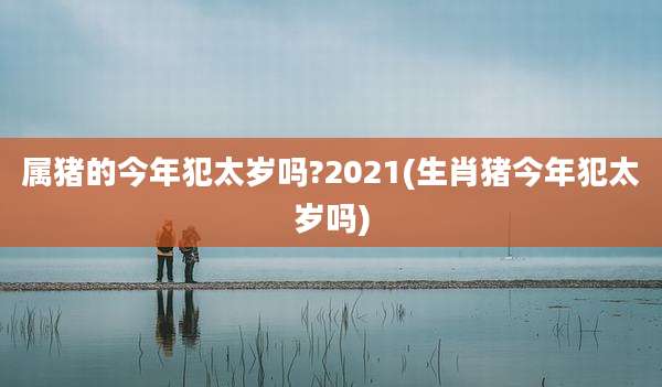 属猪的今年犯太岁吗?2021(生肖猪今年犯太岁吗)