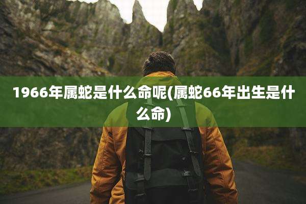 1966年属蛇是什么命呢(属蛇66年出生是什么命)