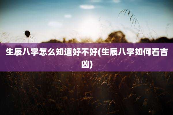 生辰八字怎么知道好不好(生辰八字如何看吉凶)