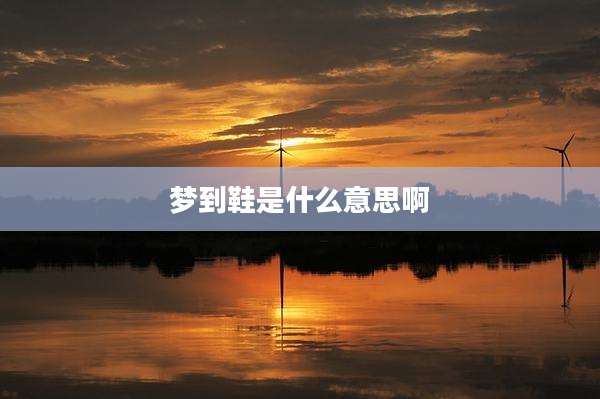 梦到鞋是什么意思啊