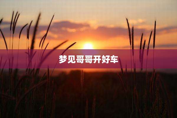 梦见哥哥开好车