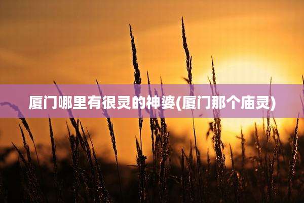 厦门哪里有很灵的神婆(厦门那个庙灵)