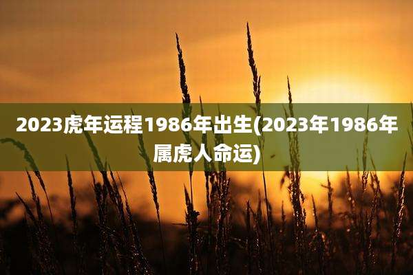 2023虎年运程1986年出生(2023年1986年属虎人命运)
