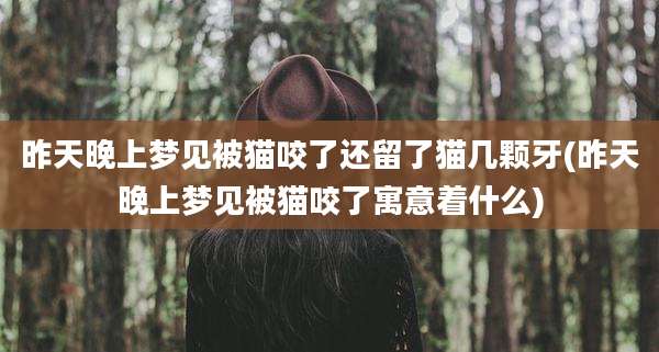 昨天晚上梦见被猫咬了还留了猫几颗牙(昨天晚上梦见被猫咬了寓意着什么)