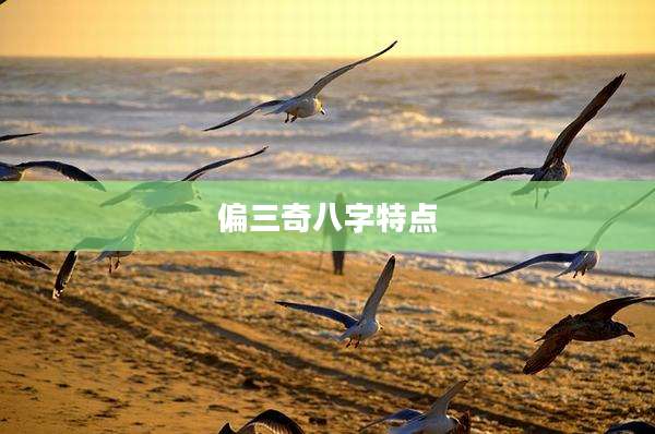 偏三奇八字特点