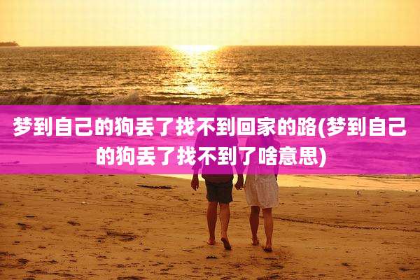 梦到自己的狗丢了找不到回家的路(梦到自己的狗丢了找不到了啥意思)
