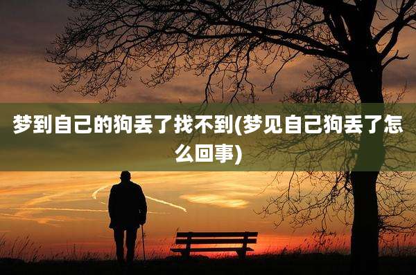 梦到自己的狗丢了找不到(梦见自己狗丢了怎么回事)