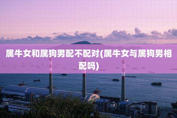 属牛女和属狗男配不配对(属牛女与属狗男相配吗)