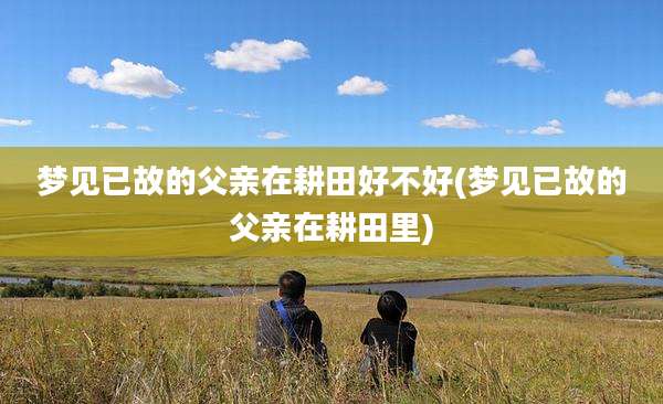 梦见已故的父亲在耕田好不好(梦见已故的父亲在耕田里)