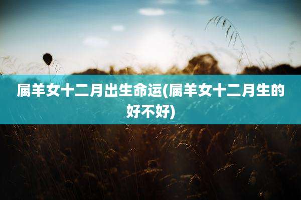 属羊女十二月出生命运(属羊女十二月生的好不好)