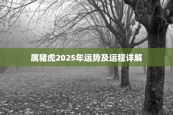 属猪虎2025年运势及运程详解
