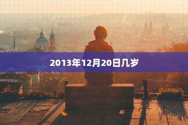 2013年12月20日几岁