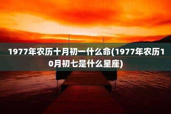 1977年农历十月初一什么命(1977年农历10月初七是什么星座)