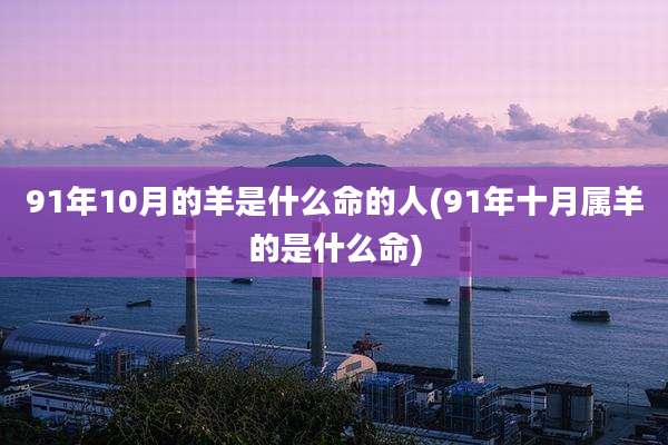 91年10月的羊是什么命的人(91年十月属羊的是什么命)