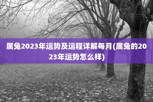属兔2023年运势及运程详解每月(属兔的2023年运势怎么样)