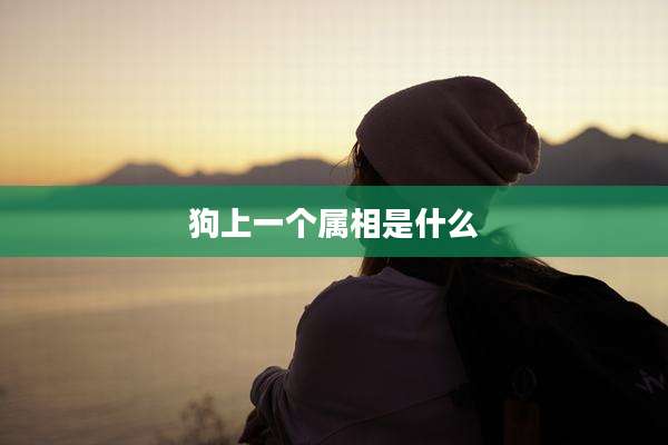 狗上一个属相是什么