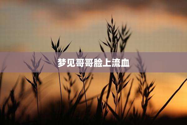 梦见哥哥脸上流血
