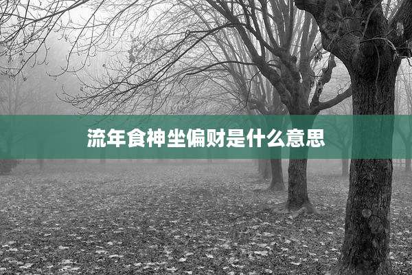 流年食神坐偏财是什么意思