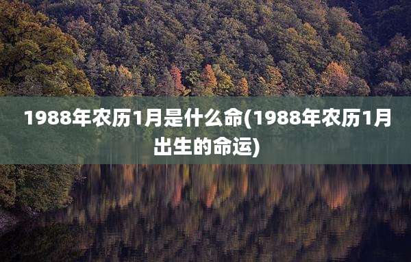 1988年农历1月是什么命(1988年农历1月出生的命运)