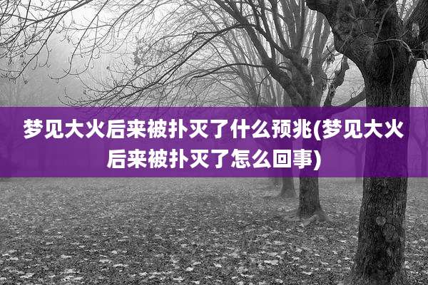 梦见大火后来被扑灭了什么预兆(梦见大火后来被扑灭了怎么回事)