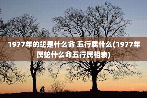 1977年的蛇是什么命 五行属什么(1977年属蛇什么命五行属相表)