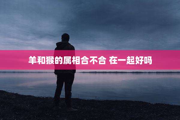 羊和猴的属相合不合 在一起好吗