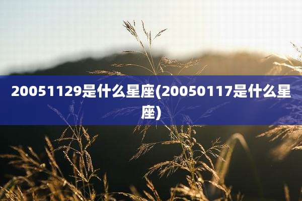 20051129是什么星座(20050117是什么星座)