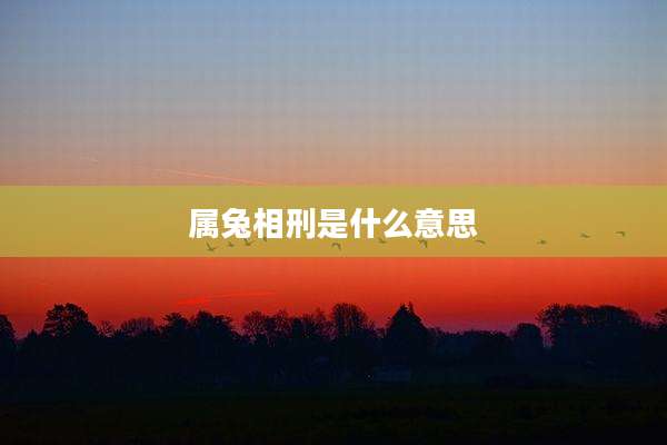 属兔相刑是什么意思