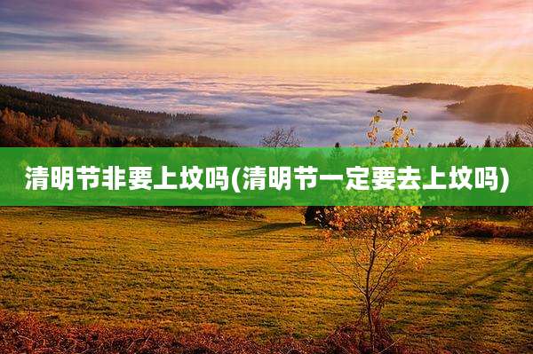清明节非要上坟吗(清明节一定要去上坟吗)