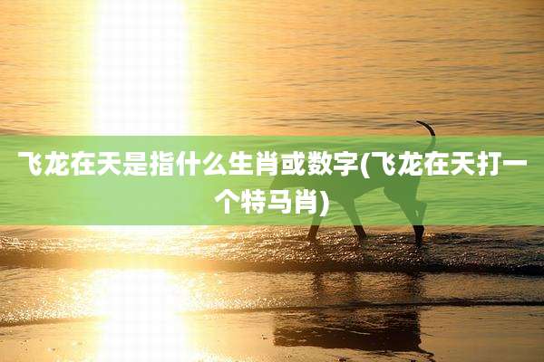 飞龙在天是指什么生肖或数字(飞龙在天打一个特马肖)